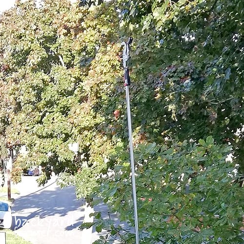 Darlac Expert Geared Anvil Tree Pruner