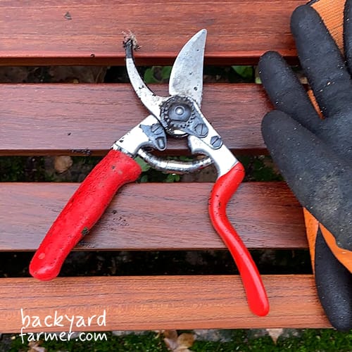 Felco FEL6 Model 6