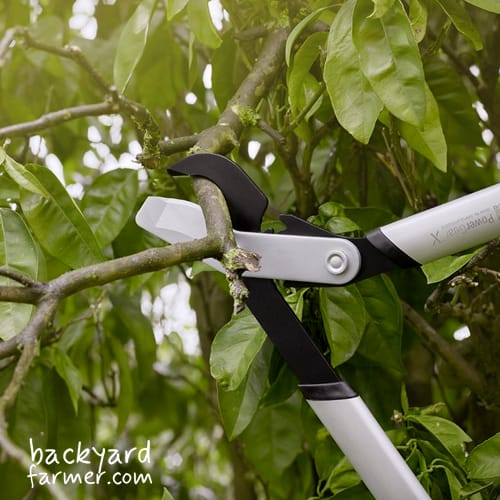 Fiskars PowerGear X LX92 Bypass Lopper