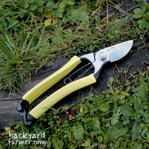 Niwaki GR Pro Secateurs