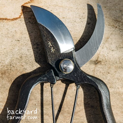 Niwaki sentai secateurs