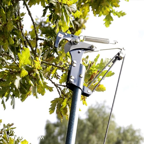 Spear & Jackson Razorsharp Lightweight Telescopic Tree Pruner