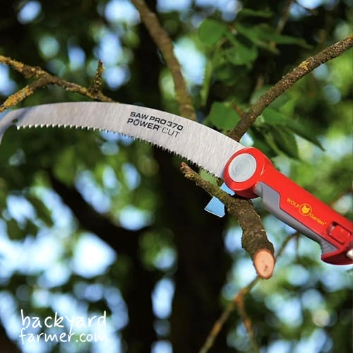 Wolf-Garten Professional Pruning Saw And ZM-V4 Handle