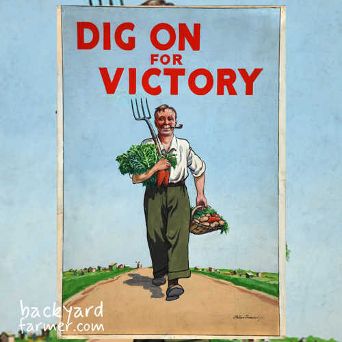 dig for victory