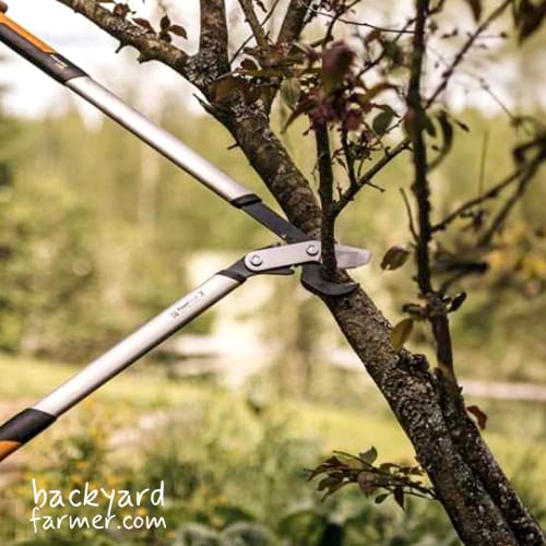 fiskars loppers LX98
