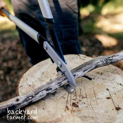 fiskars loppers x99