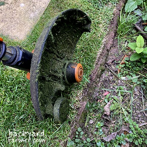 worx strimmer best for edging