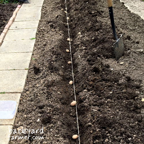 Burgon & Ball Planting Line
