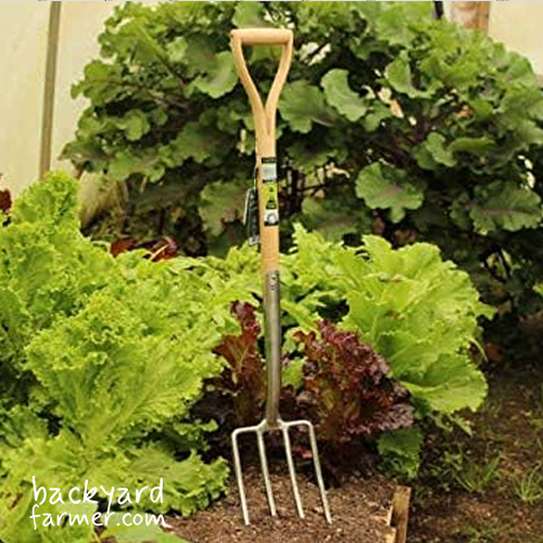 Burgon & Ball RHS Stainless Steel Digging Fork