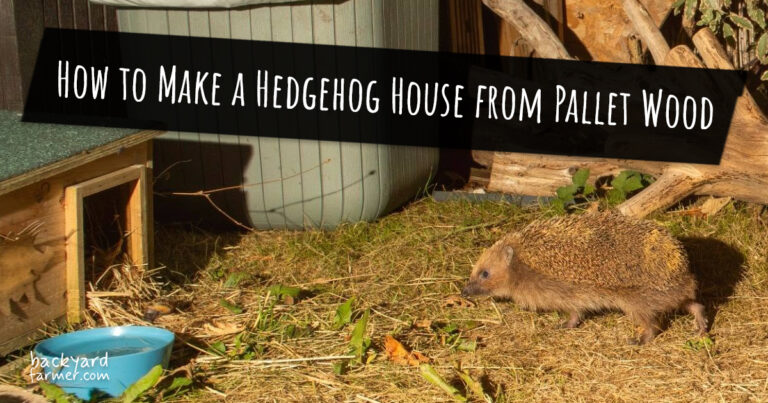 How to Make a Hedgehog House from Pallet Wood