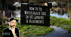 How to Fix Waterlogged Soil in UK Gardens & Allotments