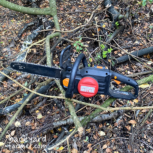 WORX WG350E Chainsaw