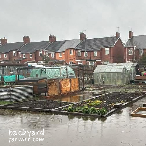 beds raised above flood area on an allotment
