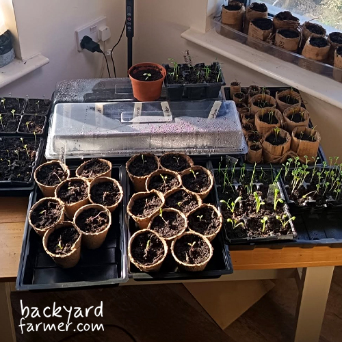 best heated propagators