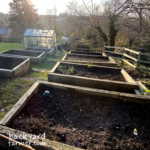 raised beds that have lastd a long time