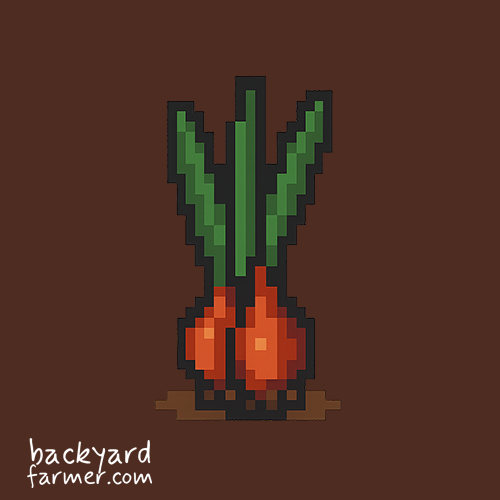 shallot icon from the BYF allotment planner