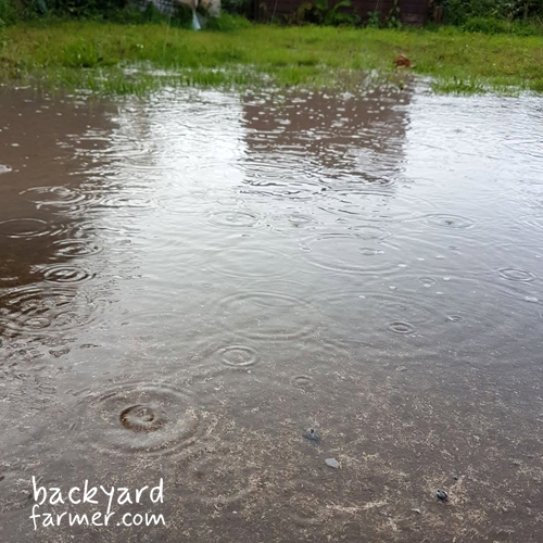 surface water flooding at the allotment